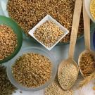 Cechy i podstawowe zasady diety „7 zbóż na odchudzanie