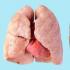 Nettoyer les poumons avec des remèdes populaires